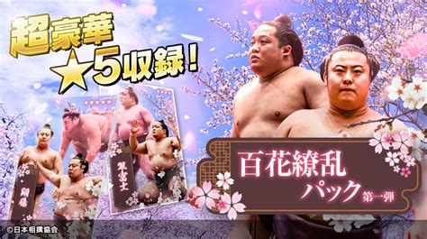 日本相撲協会公式 on Twitter RT sumo collection 大相撲コレクション 新トレカ登場 百花繚乱