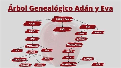 Como Funciona El Arbol Genealogico De Adan Y Eva Themeloader