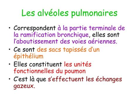 Anatomie Physiologie De Lappareil Respiratoire Ppt