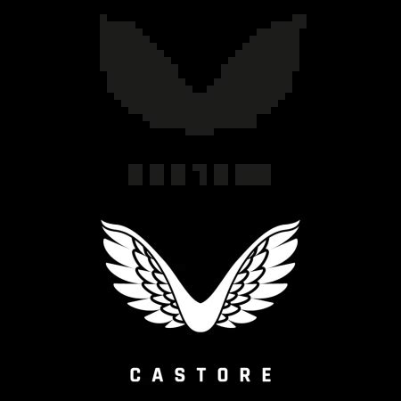 CASTORE Logo PNG, Vector (AI, EPS, CDR, PDF, SVG) - IconLogoVector