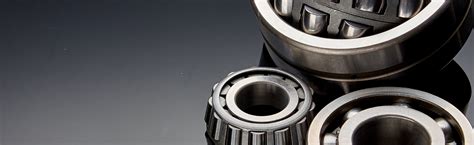 Bearing House Skf Bearing Distributor Bearings Seals Lubricants