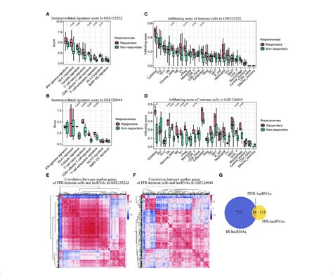 Immune Infiltration Analysis And Identification Of Itir Lncrnas A