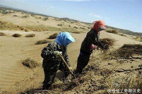 毛乌素沙漠80变绿洲：60年坚持给沙漠织毛衣防风固沙成效显著【快资讯】