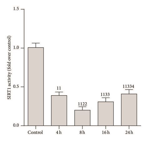 Expression And Activity Of Sirt1 Protein In Renal Tissue After Cecal Download Scientific