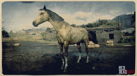 Turkoman Horse | RDR2 Horse Breeds Coats, Locations & Stats