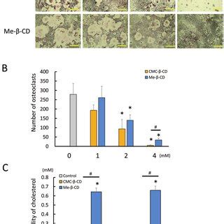 Effect of carboxymethyl carbamate group modified β cyclodextrin