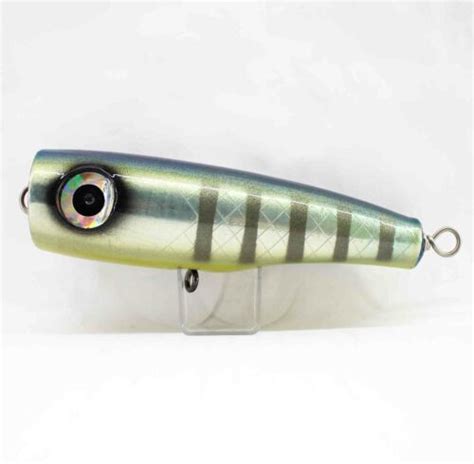 Maggy Gara Popper Short 100g Lure Wahoo 2010 Ebay