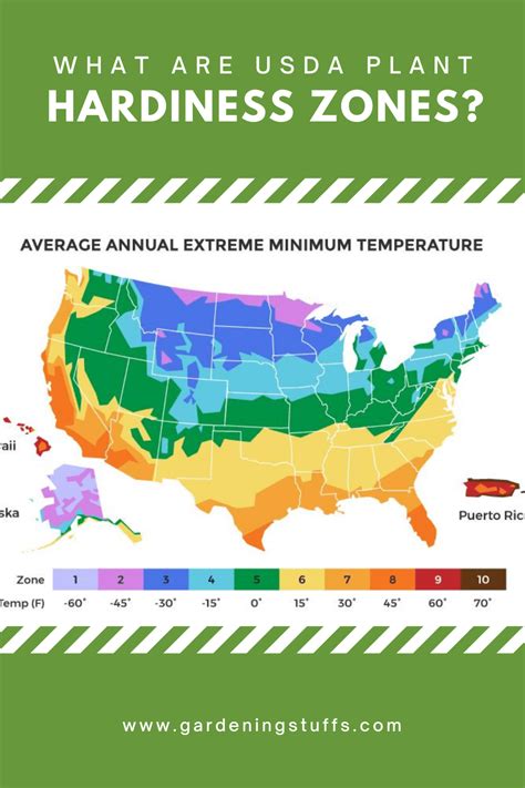 What Are USDA Plant Hardiness Zones