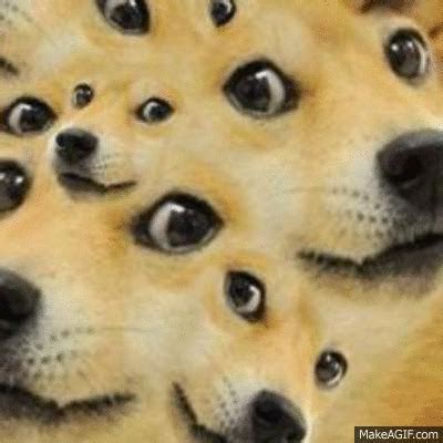 Doge Meme Drawing Gif