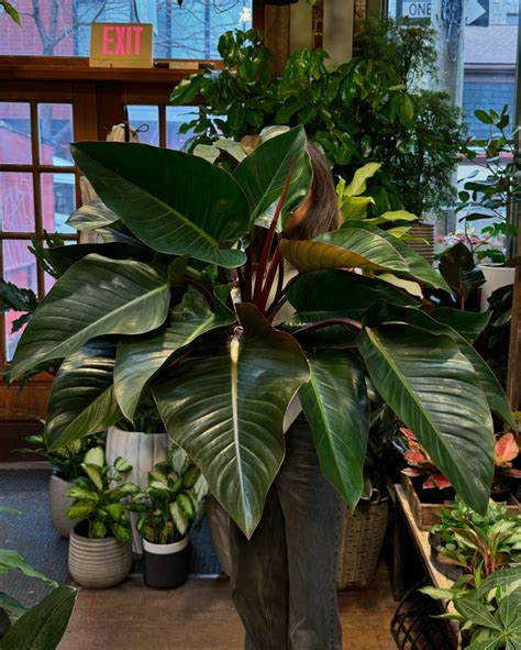 City Planter | Philadelphia PA