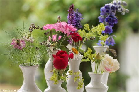 Early Summer Flowers - MOMENTS IN THE GARDEN PHOTOGRAPHY