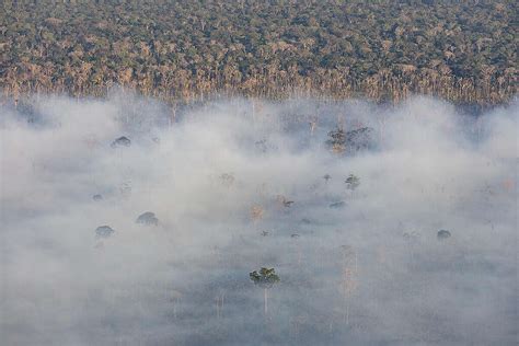 Amazon Rainforest Care Amidst Rising Fire Threats | Mirage News