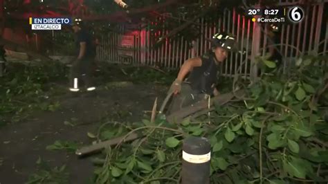 Cae Rbol De Metros Sobre Unidad Habitacional En Iztacalco Cdmx