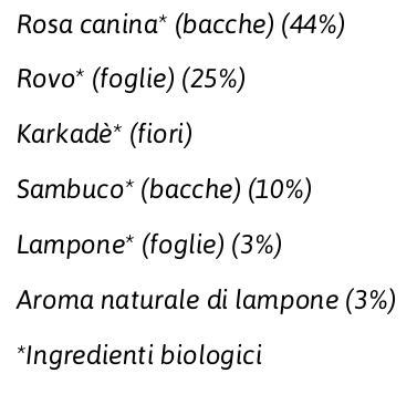 Vivibio Infuso Ai Frutti Di Bosco 20 Filtri Everli