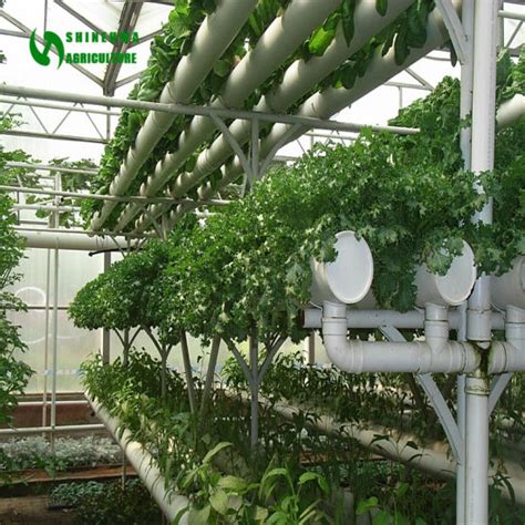 China Commercial Hydroponics Greenhouse with Vertical Nft PVC Pipe ...