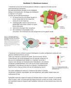 Samenvatting H11 18 Van Essential Cell Biology Voor Het Vak Moleculaire