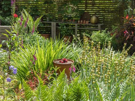 National Garden Scheme Garden In Midhurst Designed To Support Wildlife And Biodiversity Open