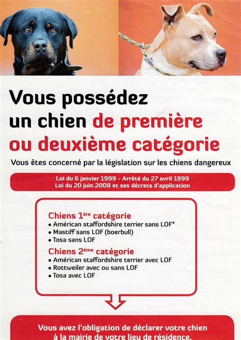 Permis provisoire de détention dun chien catégorisé Ville de Lezoux