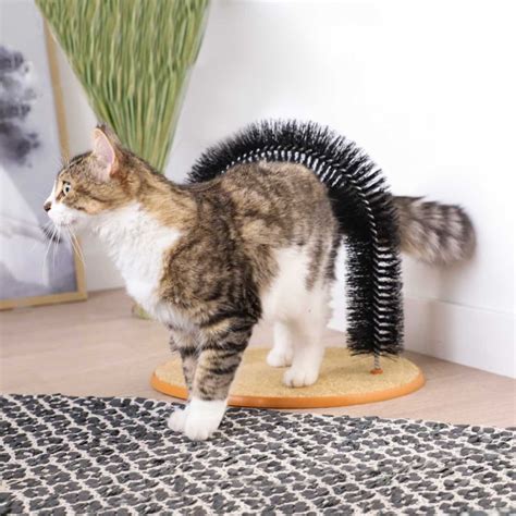 Auto Toiletteur Et Masseur Pour Chat Easy Brush Avec Herbe Chat