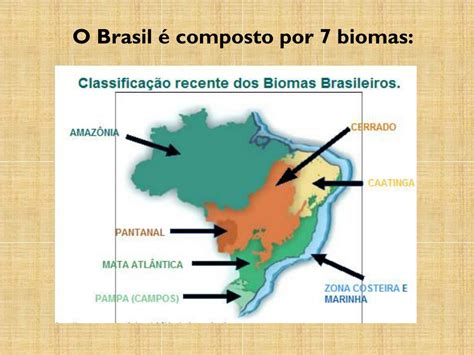 Ppt Biomas Brasileiros Powerpoint Presentation Free Download Id