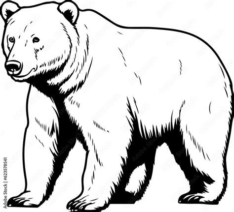 Bear SVG, Grizzly Bear SVG, Mama Bear SVG, Bear Paw svg, Bear Family