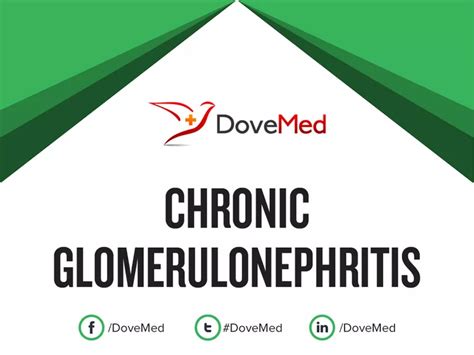 Chronic Glomerulonephritis Dovemed