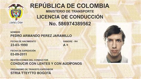 Licencia De Conduccion W Printable Forms Imagesee