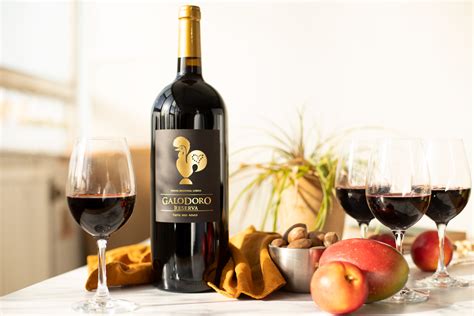 Galodoro Reserva Vinho Regional Lisboa Red Magnum 2020 Naked Wines