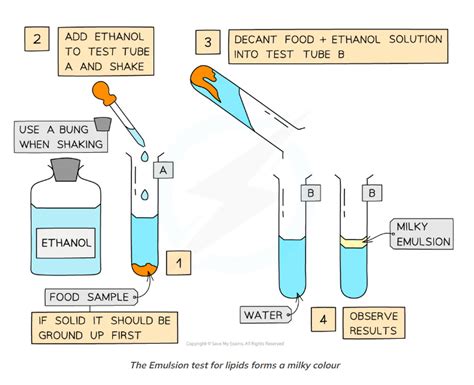 Ocr A Level Biology复习笔记229 Biochemical Tests Lipids 翰林国际教育