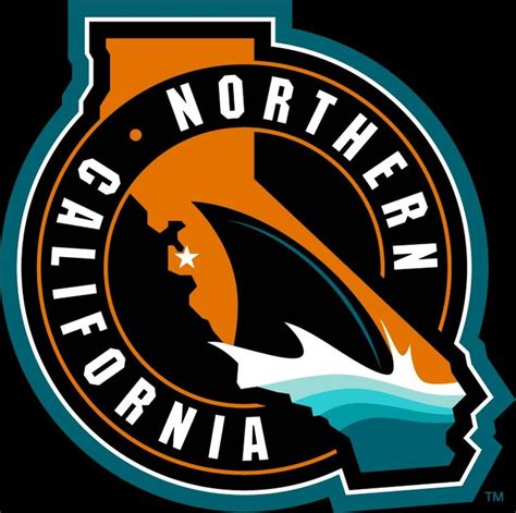 San Jose Sharks Stadium Series shoulder patch. | California logo, San ...