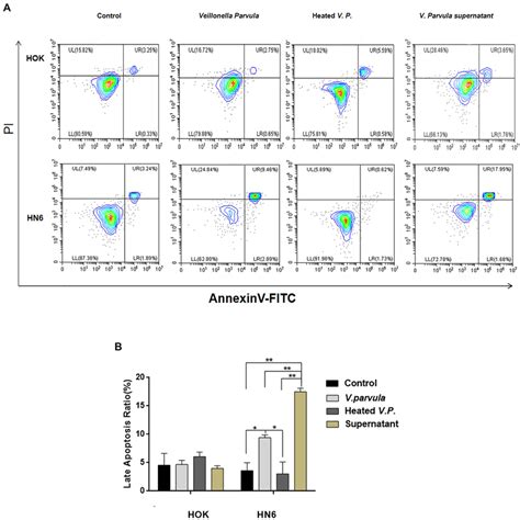 Effects Of Veillonella Parvula Nctc On The Apoptosis Of Oscc