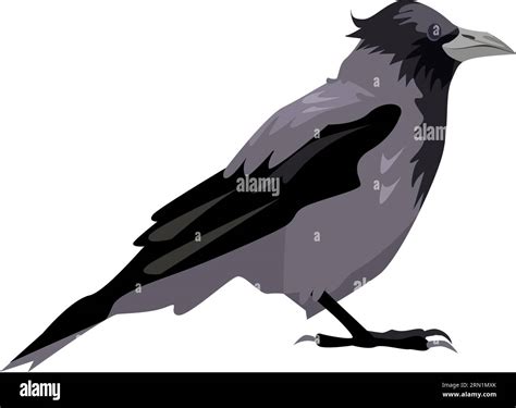 Black And Gray Crow Illustration Stock Vector Image And Art Alamy