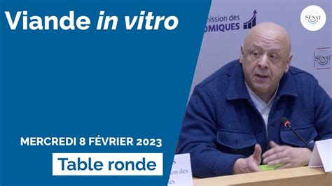 Table Ronde Sur La Viande In Vitro Youtube