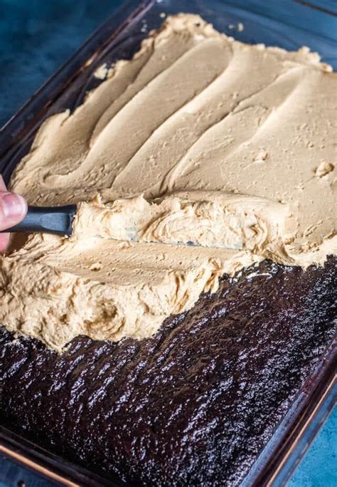 Chocolate Peanut Butter Crazy Cake Nine Recipes