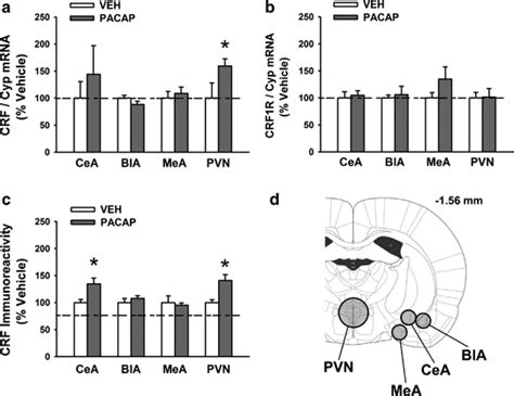 Effects Of I C V Administration Of Pacap 5 μg Rat On Crf Mrna Download Scientific Diagram