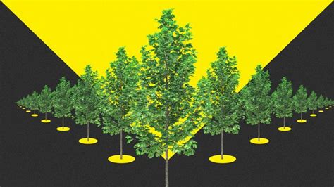 The Eu Is Going To Plant Billion Trees By Fast Company