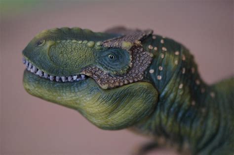 Dino Dinosaurie Tyrannosaurus Rex - Gratis foto på Pixabay - Pixabay