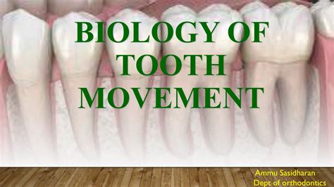 Biology Of Tooth Movement In Orthodontics Ppt