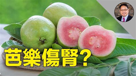 🍐揭秘芭樂番石榴的驚人好處和食用禁忌哪些人不能吃芭樂？快來看你是否也上榜😱；芭樂挑選秘訣 Youtube