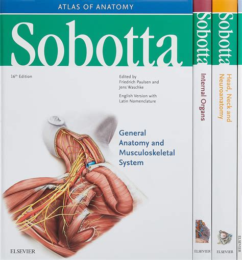 Sobotta Atlas Of Anatomy Package 16th Ed English Latin Musculoskeletal ...