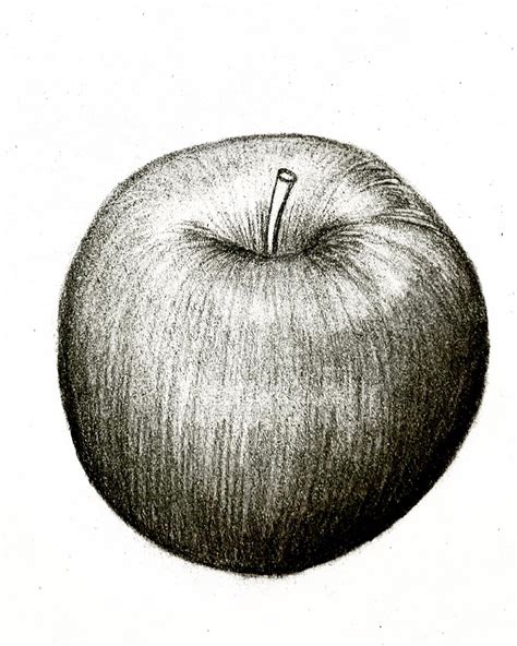 Apple Pencil Drawing by OsannaChil on DeviantArt