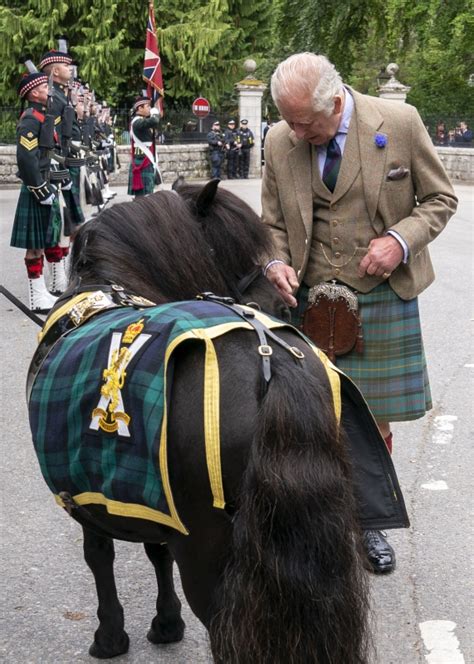 Corporal Cruachan Iv Ein Herzerw Rmender Moment Er Stiehlt K Nig