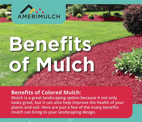 Infographic Benefits Of Mulch