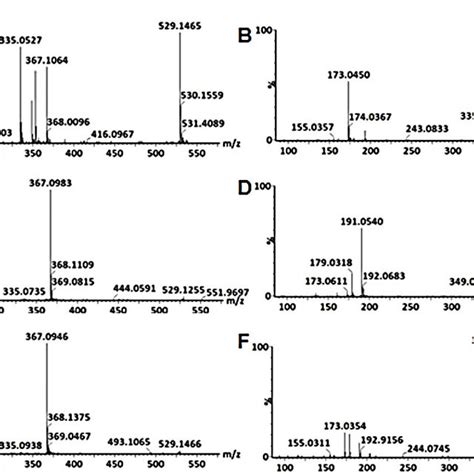 Typical Mass Spectra Of The Fragmentation Patterns Of Download Scientific Diagram