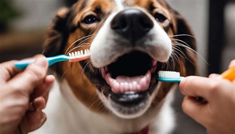 Effective Dog Teeth Cleaning Guide for Pet Owners