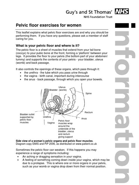 Pelvic Floor Exercises For Women Pdf Urinary Incontinence Pelvis