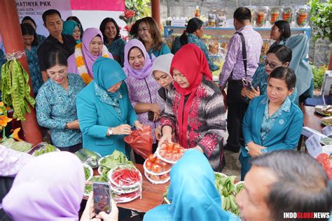 Ketua Tim Penggerak Pkk Provinsi Sumatera Utara Kunjungi Kabupaten