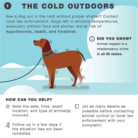 How To Keep Pets Safe In Winter Months Care Healthy Living