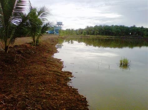 Kembara Insan Engineers Blog Water Catchment Area Raise Up Bund