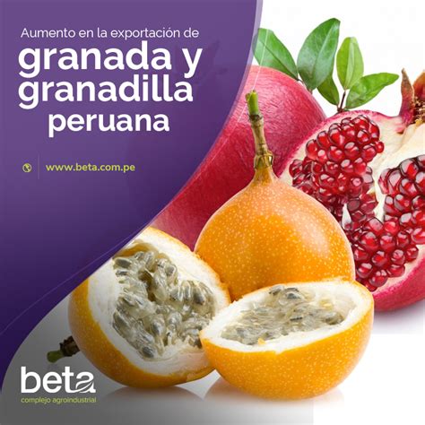 Aumento en la exportación de granada y granadilla peruana - Beta